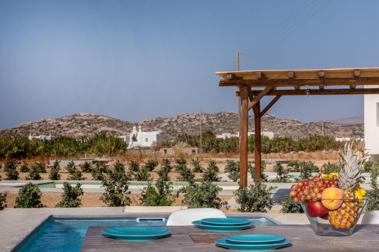 Bamboo Villa Naxos Mikri Vigla Exterior photo